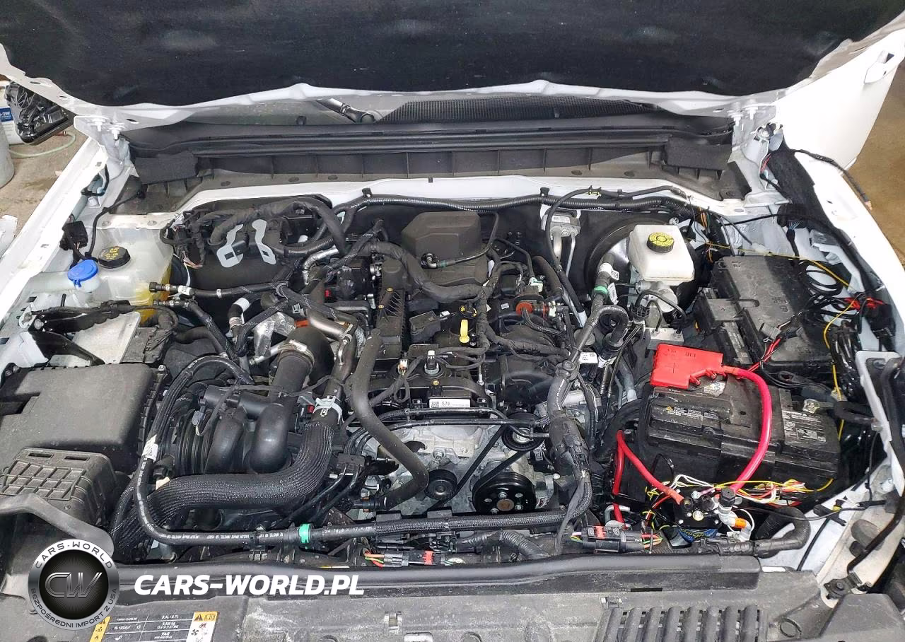 2024 Ford Bronco Outer Banks VIN:1FMDE8BH7RLB51350 - 12