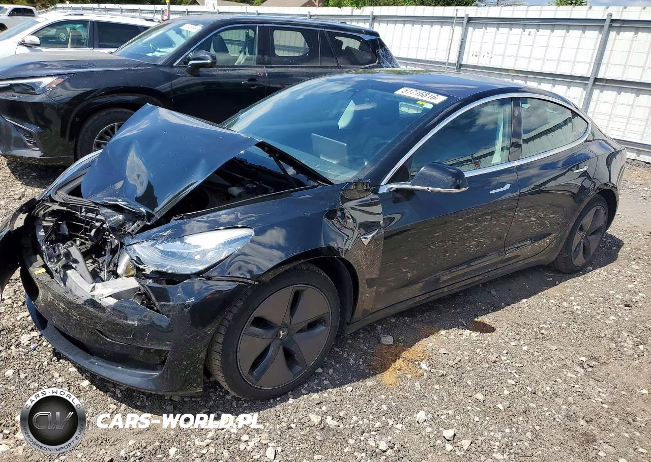 2019 Tesla Model 3