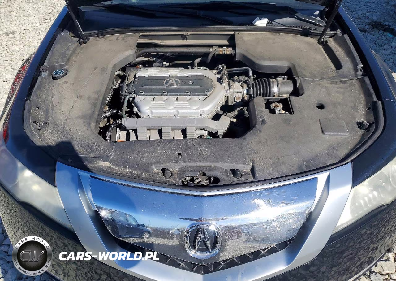 2009 Acura Tl VIN:19UUA86269A016234 - 11