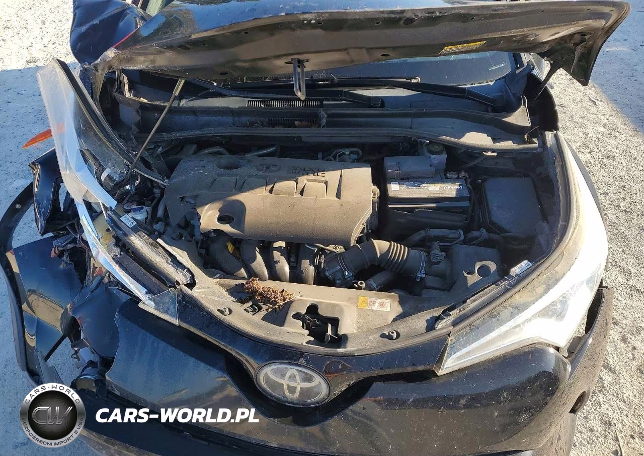 2019 Toyota C-Hr Le VIN:NMTKHMBX2KR081939 - 12