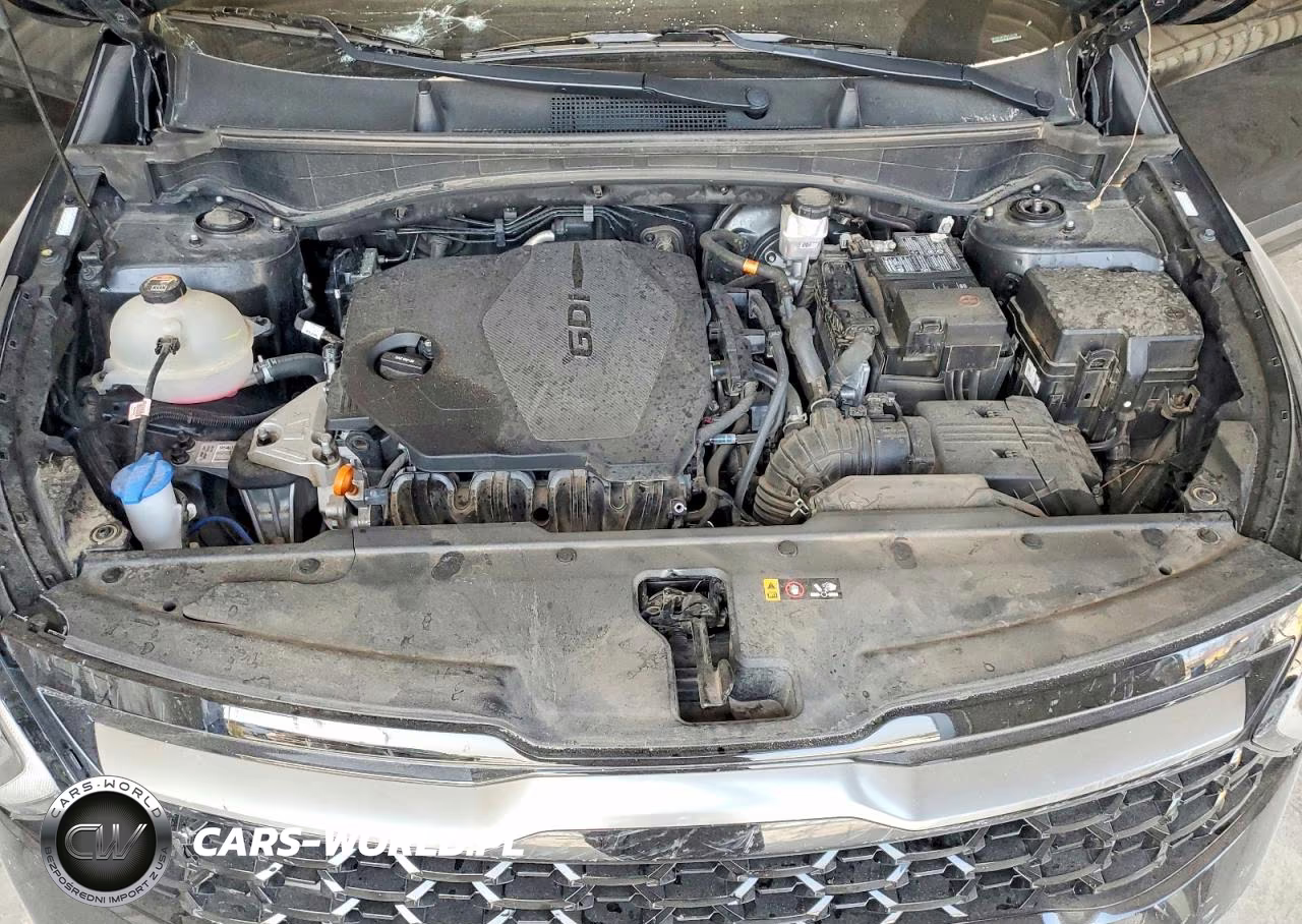 2023 Kia Sportage X Line VIN:5XYK6CAF3PG119158 - 12
