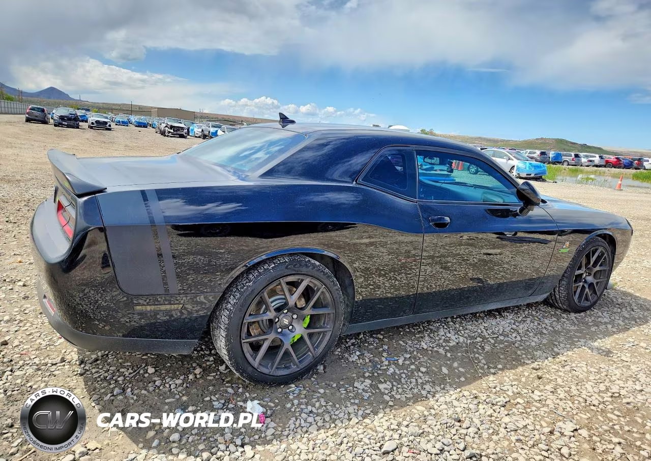 2017 Dodge Challenger R VIN:2C3CDZFJ5HH502021 - 3