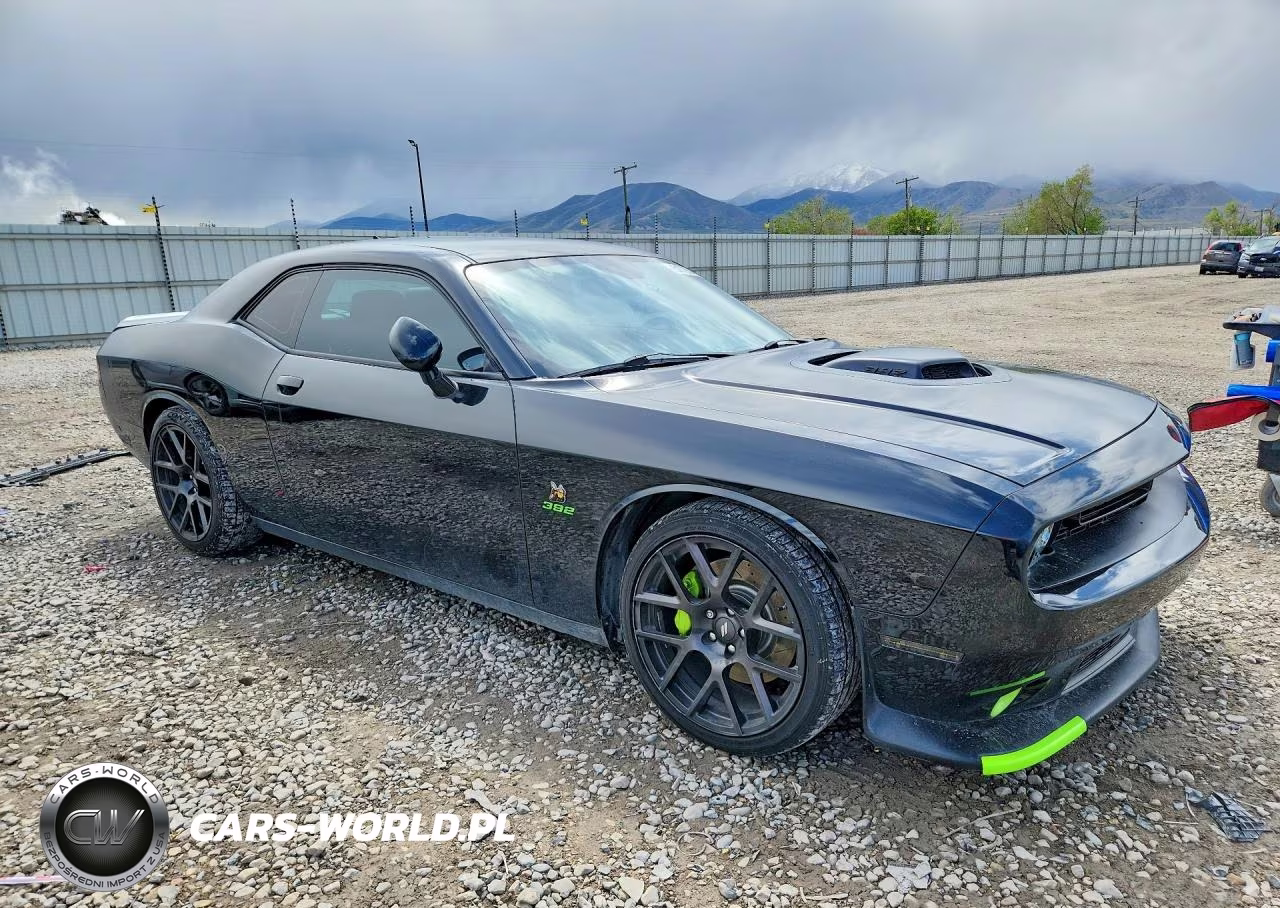 2017 Dodge Challenger R VIN:2C3CDZFJ5HH502021 - 4