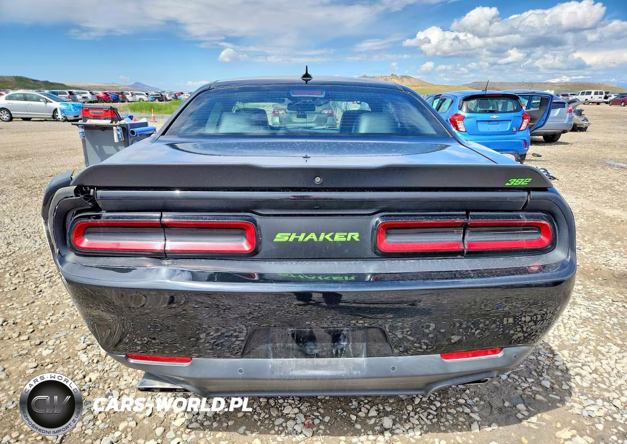 2017 Dodge Challenger R VIN:2C3CDZFJ5HH502021 - 6