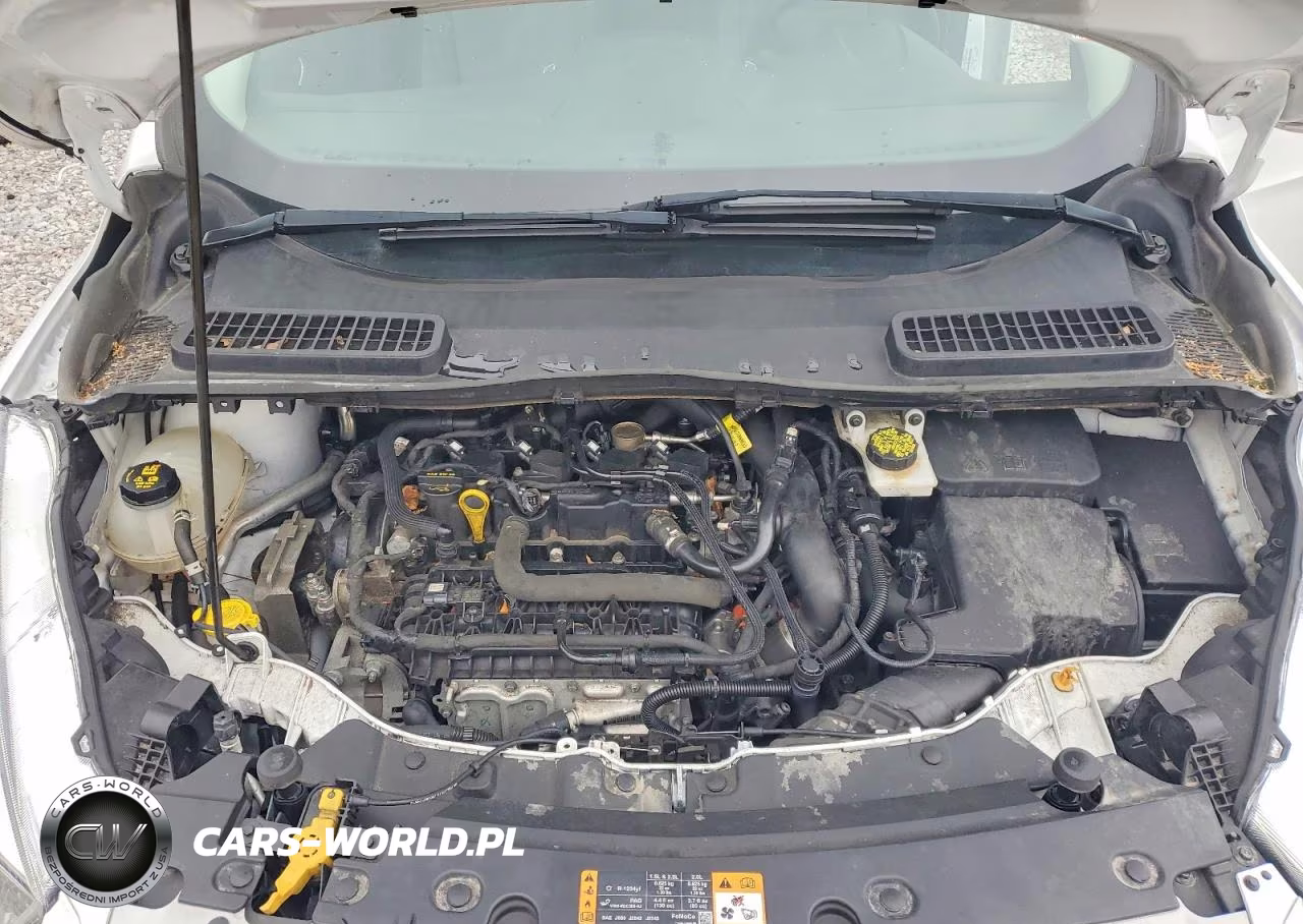 2019 Ford Escape Se VIN:1FMCU9GD5KUB81330 - 12