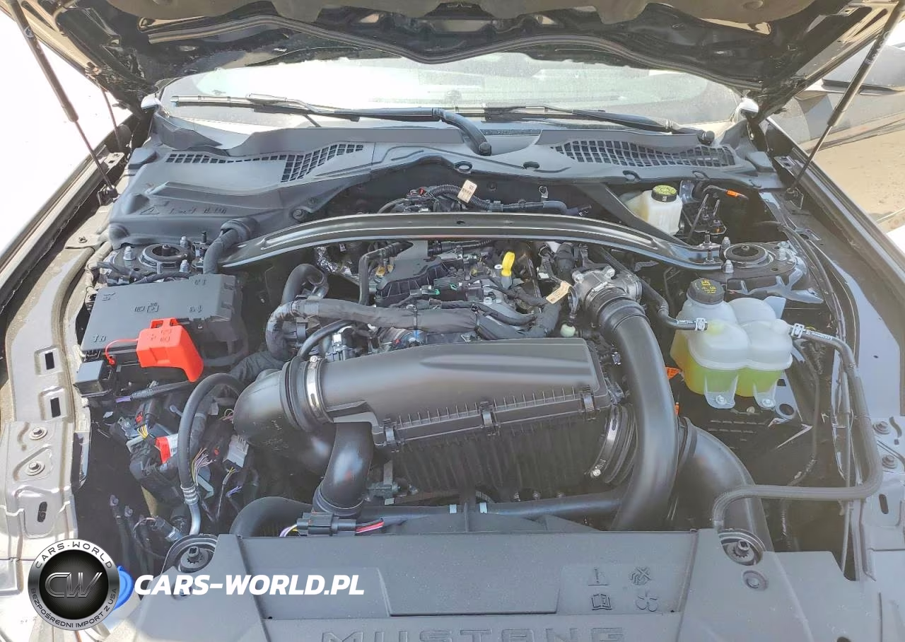 2026 Ford Mustang Ecoboost-Ecoboost Premium VIN:1FAGP8UH5T5119586 - 11