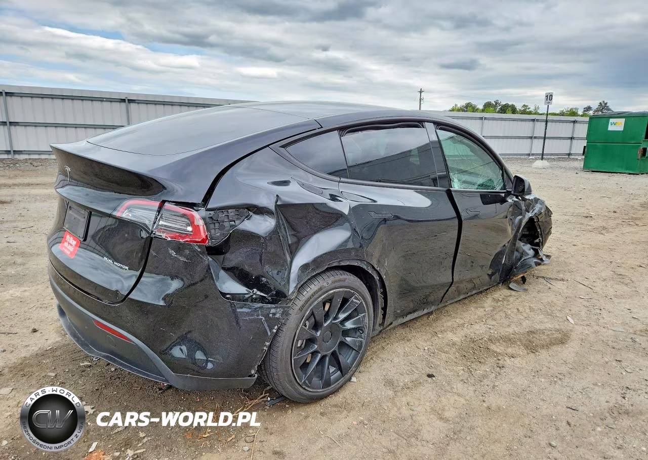 2023 Tesla Model Y VIN:7SAYGDEE4PF750106 - 3