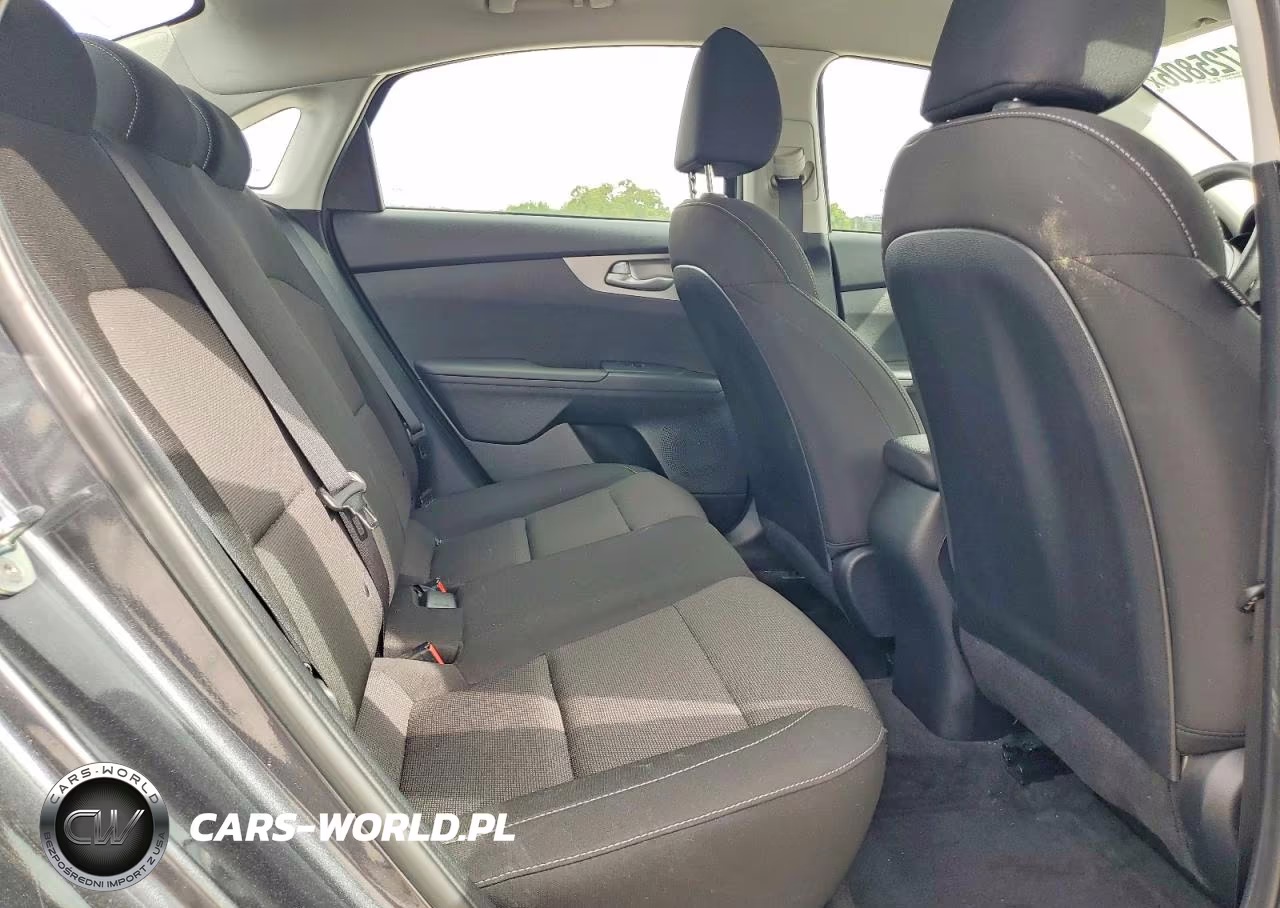 2022 Kia Forte Fe VIN:3KPF24AD3NE498142 - 10