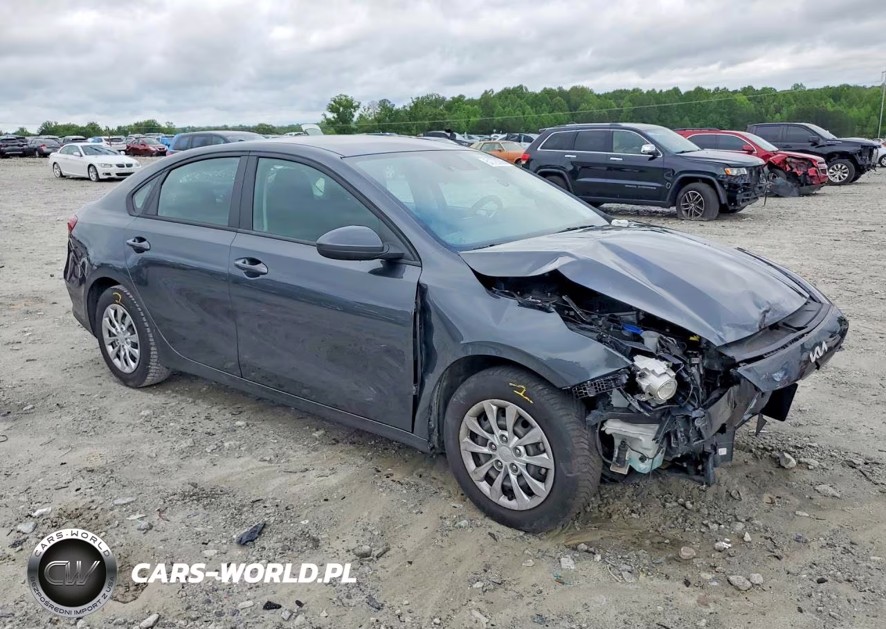 2022 Kia Forte Fe VIN:3KPF24AD3NE498142 - 4