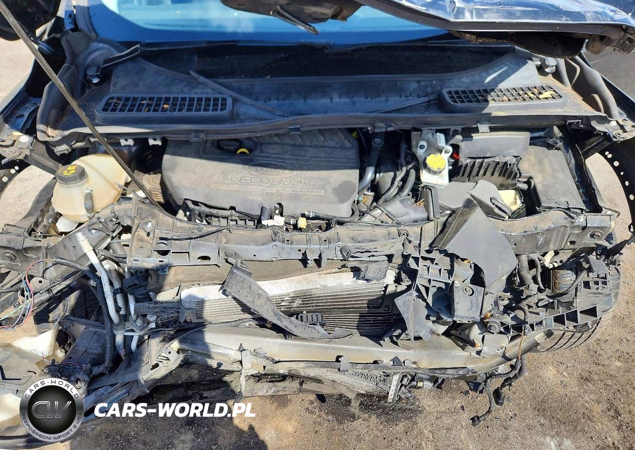 2017 Ford Escape Se VIN:1FMCU0GD5HUC73011 - 12