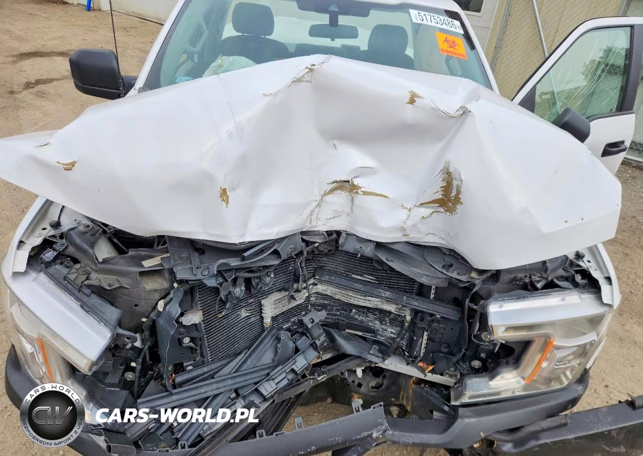 2019 Ford F150 VIN:1FTMF1CB3KKE67892 - 11