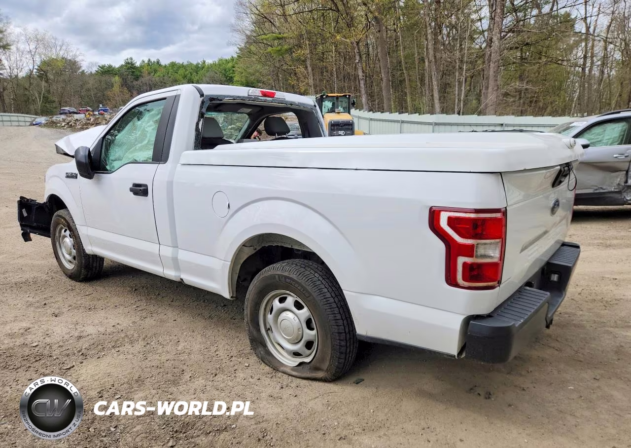 2019 Ford F150 VIN:1FTMF1CB3KKE67892 - 2