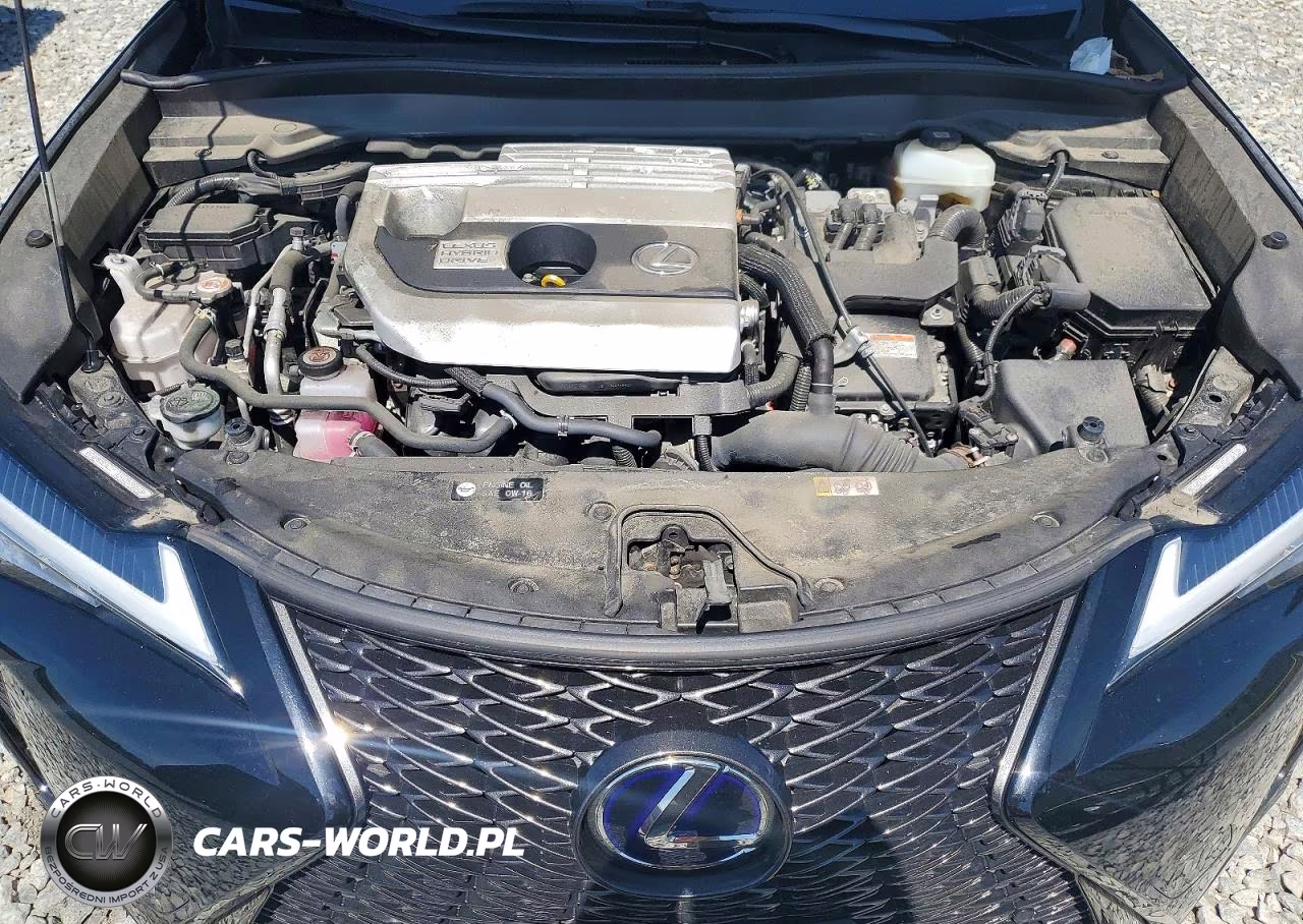 2021 Lexus Ux 250H VIN:JTHR9JBH6M2053834 - 11
