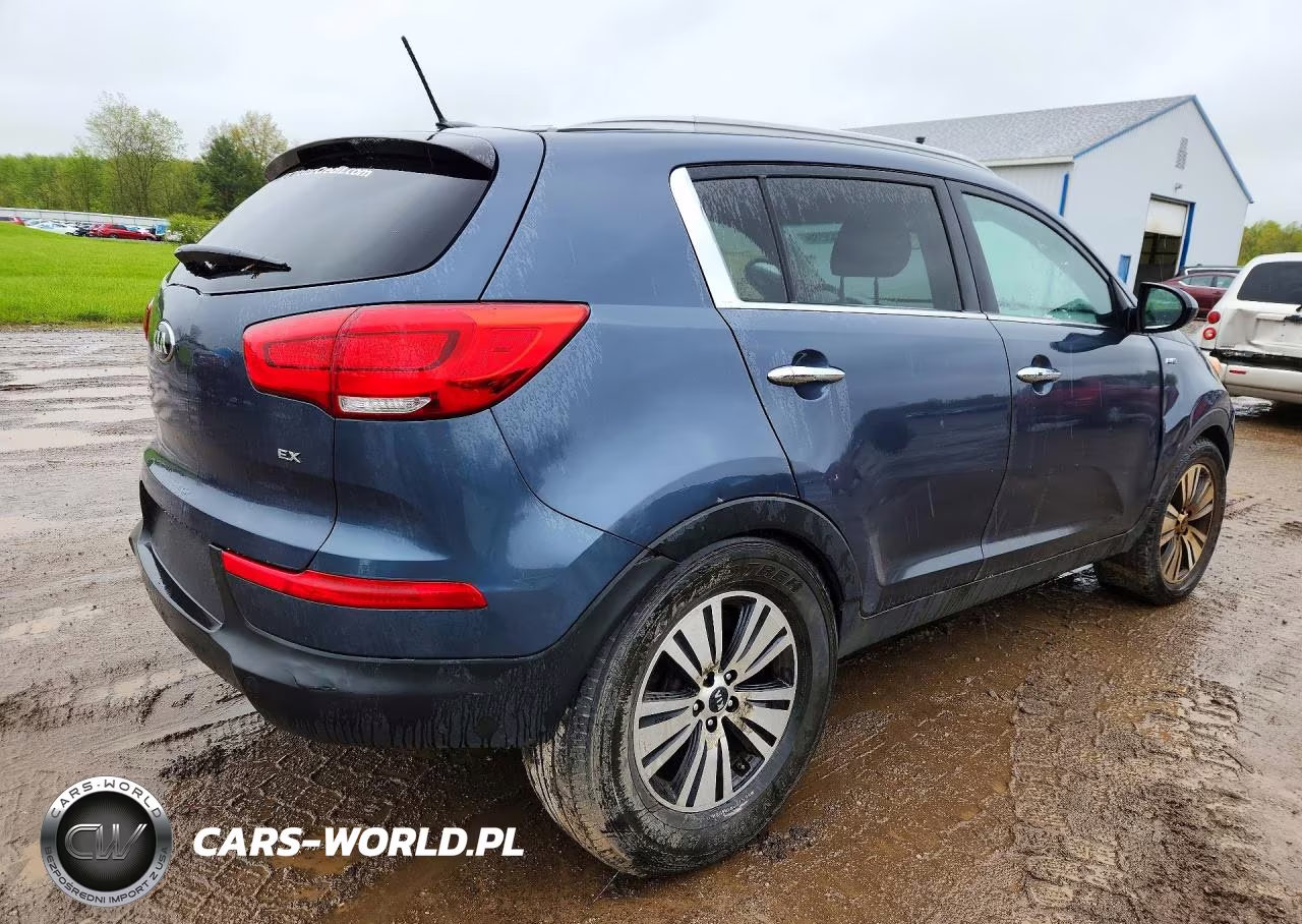 2016 Kia Sportage Ex VIN:KNDPCCAC6G7803591 - 3