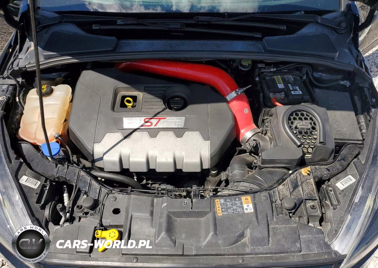 2018 Ford Focus St VIN:1FADP3L92JL329930 - 11