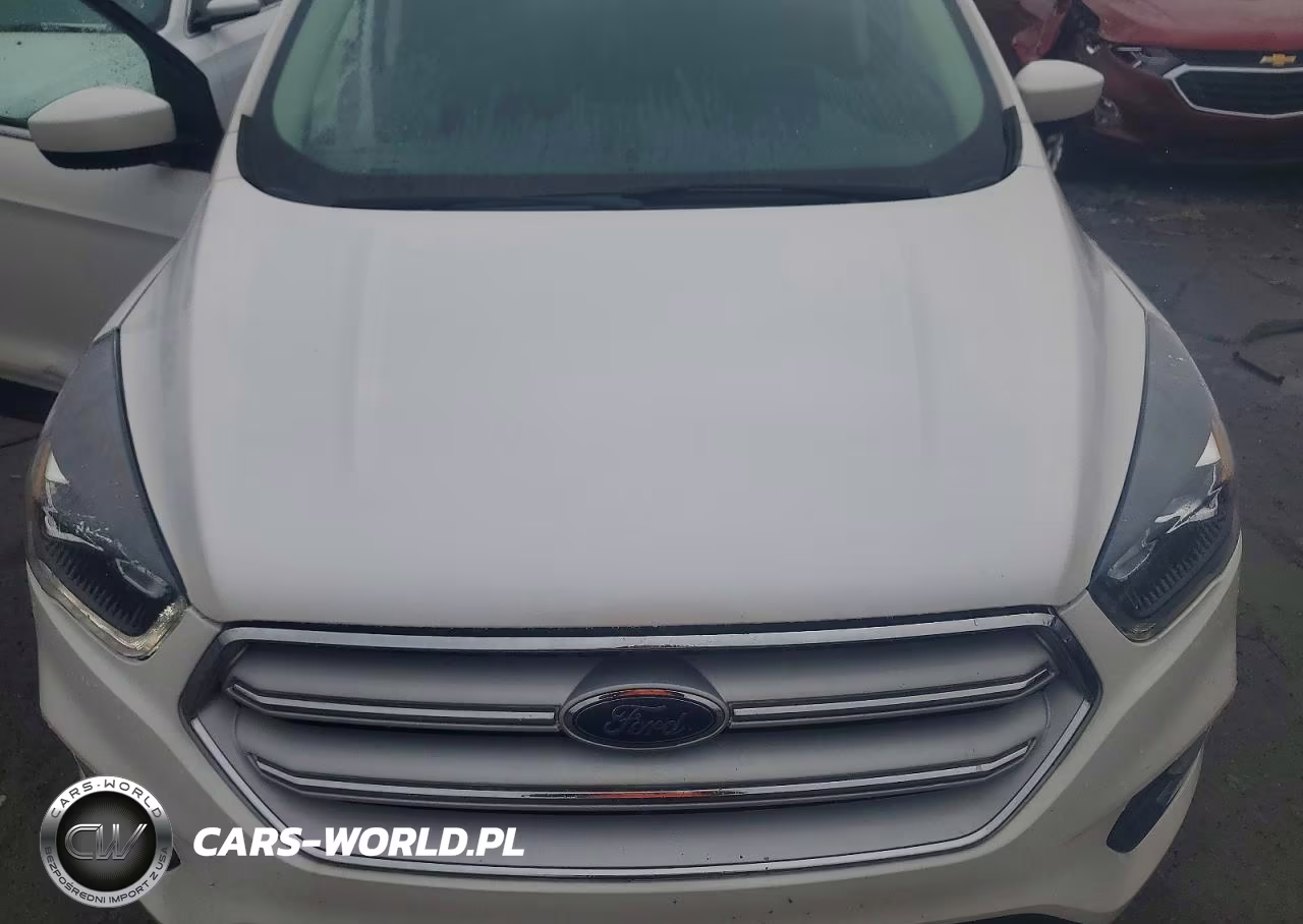 2019 Ford Escape Sel VIN:1FMCU9HD1KUB98138 - 12