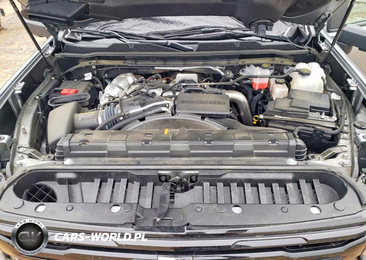 2025 Chevrolet Silverado K2500 Heavy Duty Ltz VIN:2GC4KPEY3S1232800 - 11