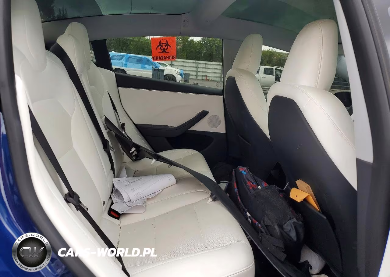 2025 Tesla Model 3 VIN:5YJ3E1EA5SF017189 - 10