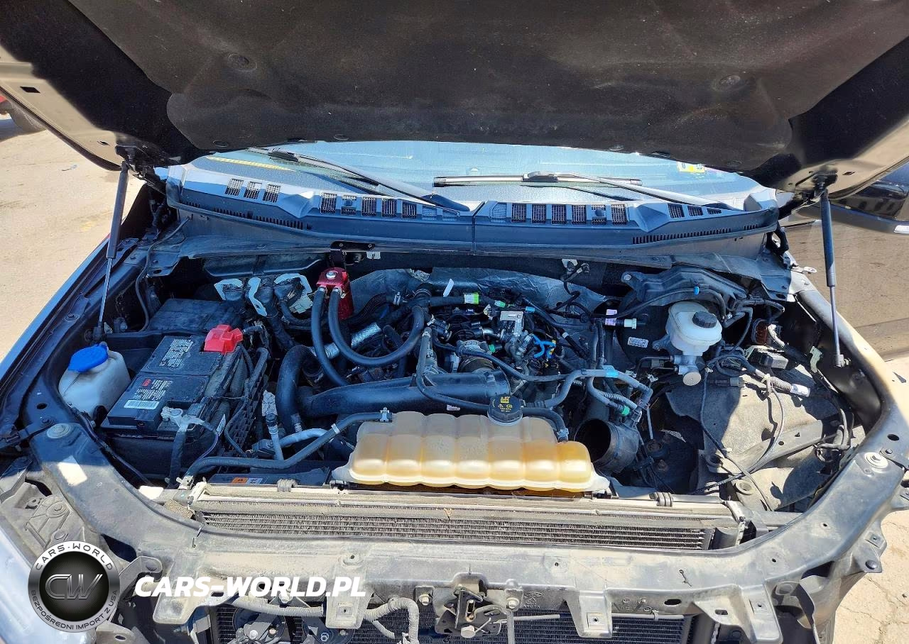 2019 Ford F150 Supercrew VIN:1FTEW1EP0KFB39223 - 11