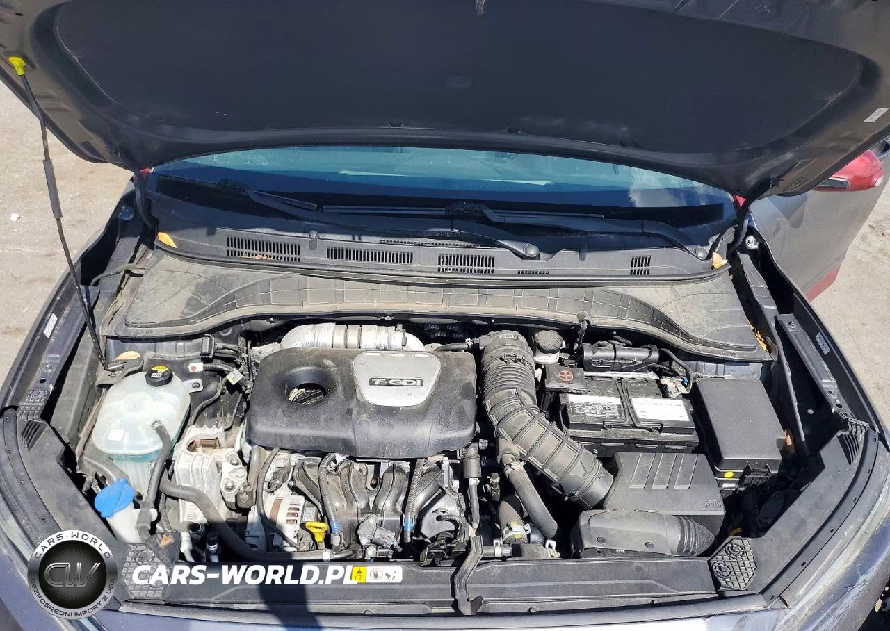 2019 Hyundai Kona Ultimate VIN:KM8K53A50KU318990 - 12