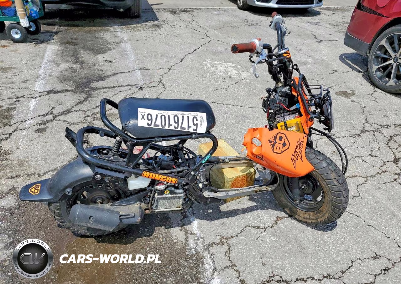 2019 Hond Other – zdjęcie 1 z 9