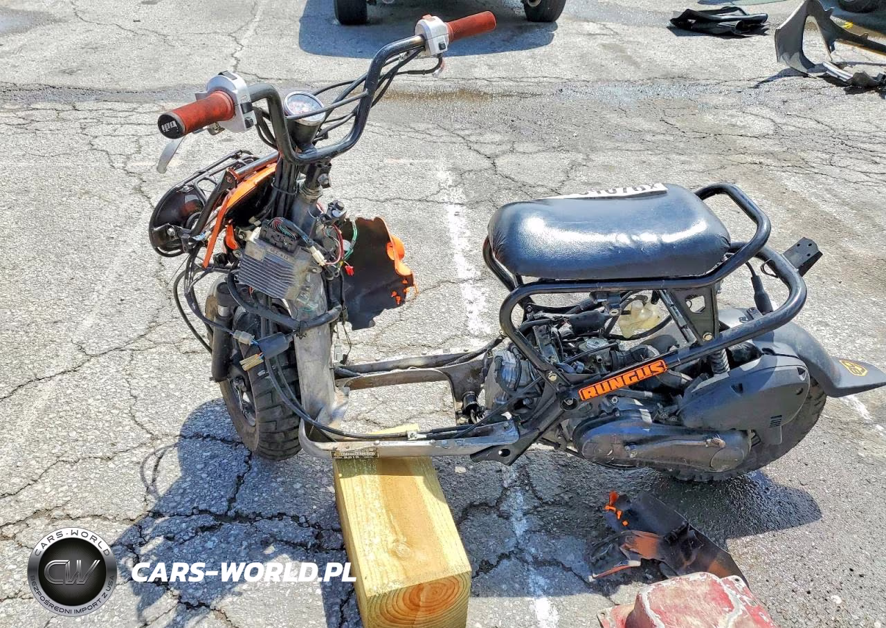 2019 Hond Other VIN:JH2AF581XKK700281 - 3