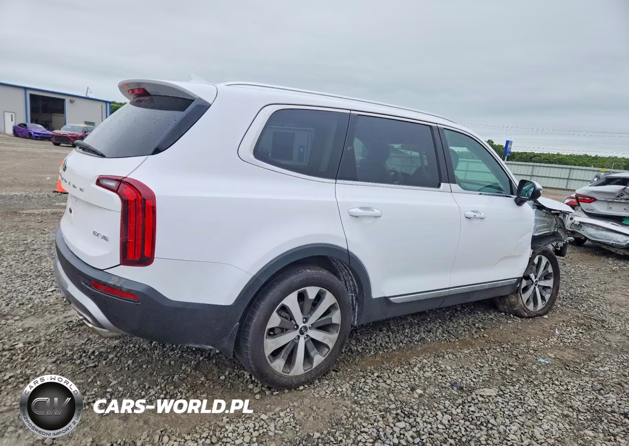 2021 Kia Telluride Ex VIN:5XYP34HC9MG133593 - 3