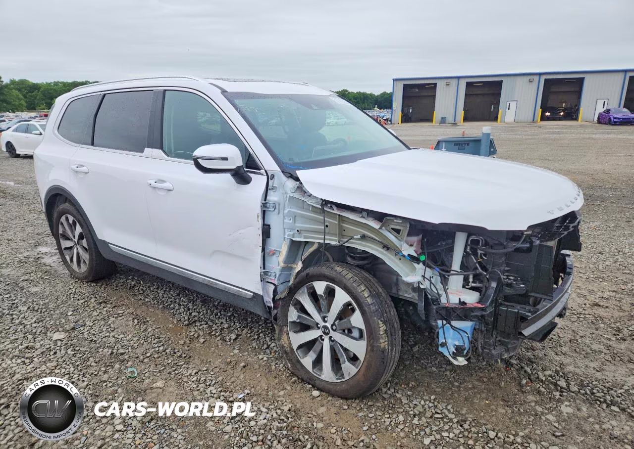 2021 Kia Telluride Ex VIN:5XYP34HC9MG133593 - 4