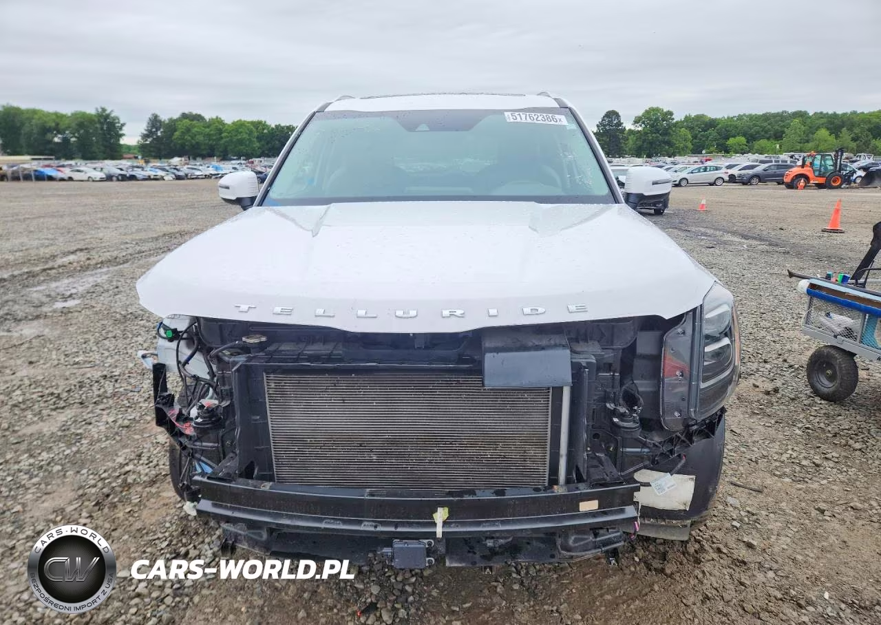 2021 Kia Telluride Ex VIN:5XYP34HC9MG133593 - 5