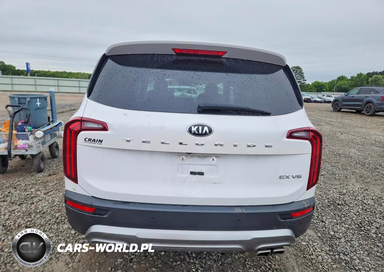 2021 Kia Telluride Ex VIN:5XYP34HC9MG133593 - 6
