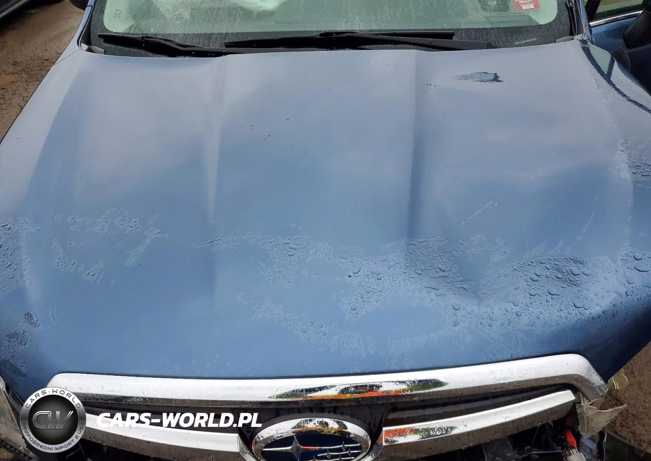 2014 Subaru Forester 2.0Xt Touring VIN:JF2SJGMC1EH413266 - 12