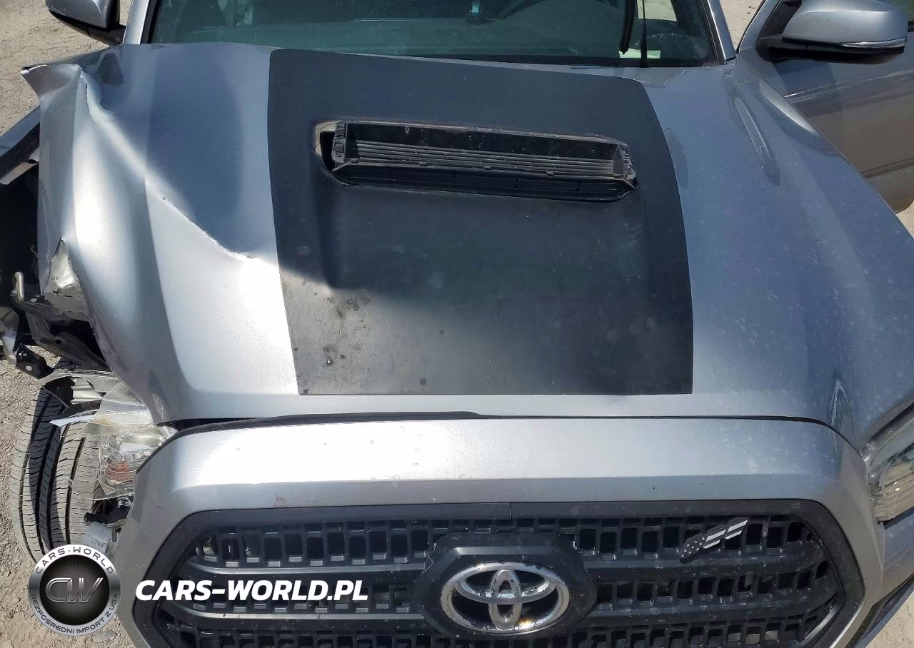 2017 Toyota Tacoma Trd Sport VIN:5TFAZ5CN2HX047239 - 11