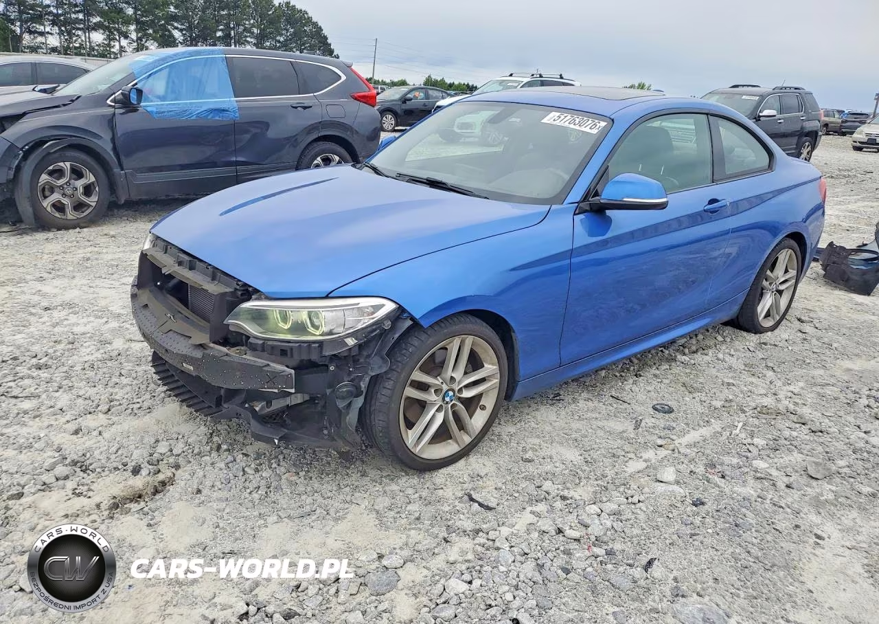 2016 BMW 228 I Sulev
