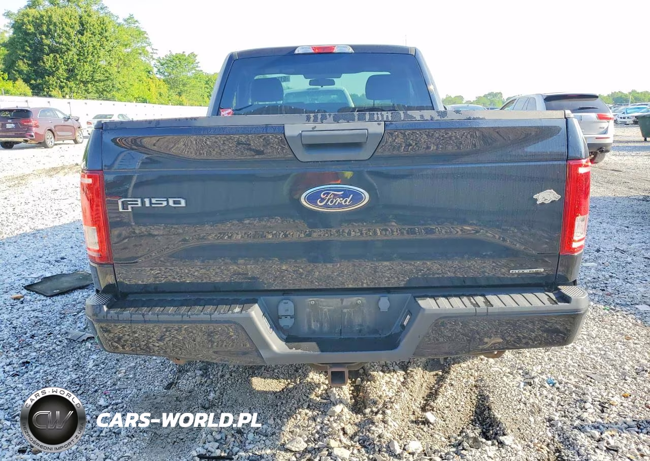 2016 Ford F150 VIN:1FTMF1C87GKF98920 - 6