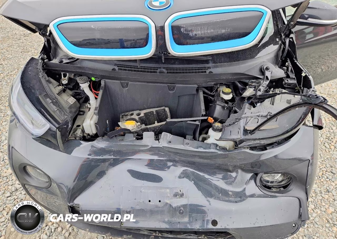 2015 BMW I3 Rex VIN:WBY1Z4C50FV500551 - 12