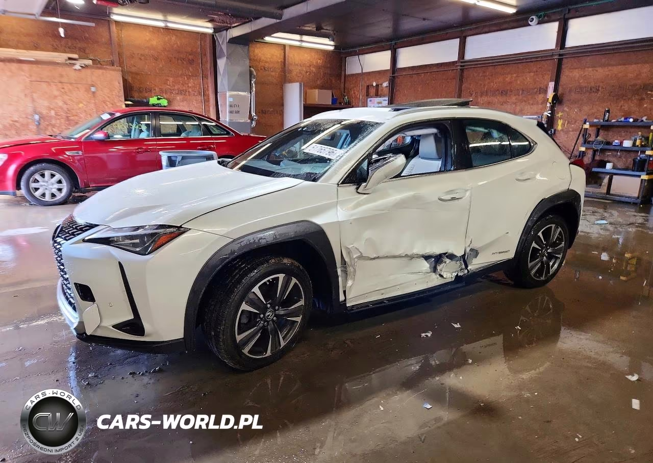 2019 Lexus Ux 250H