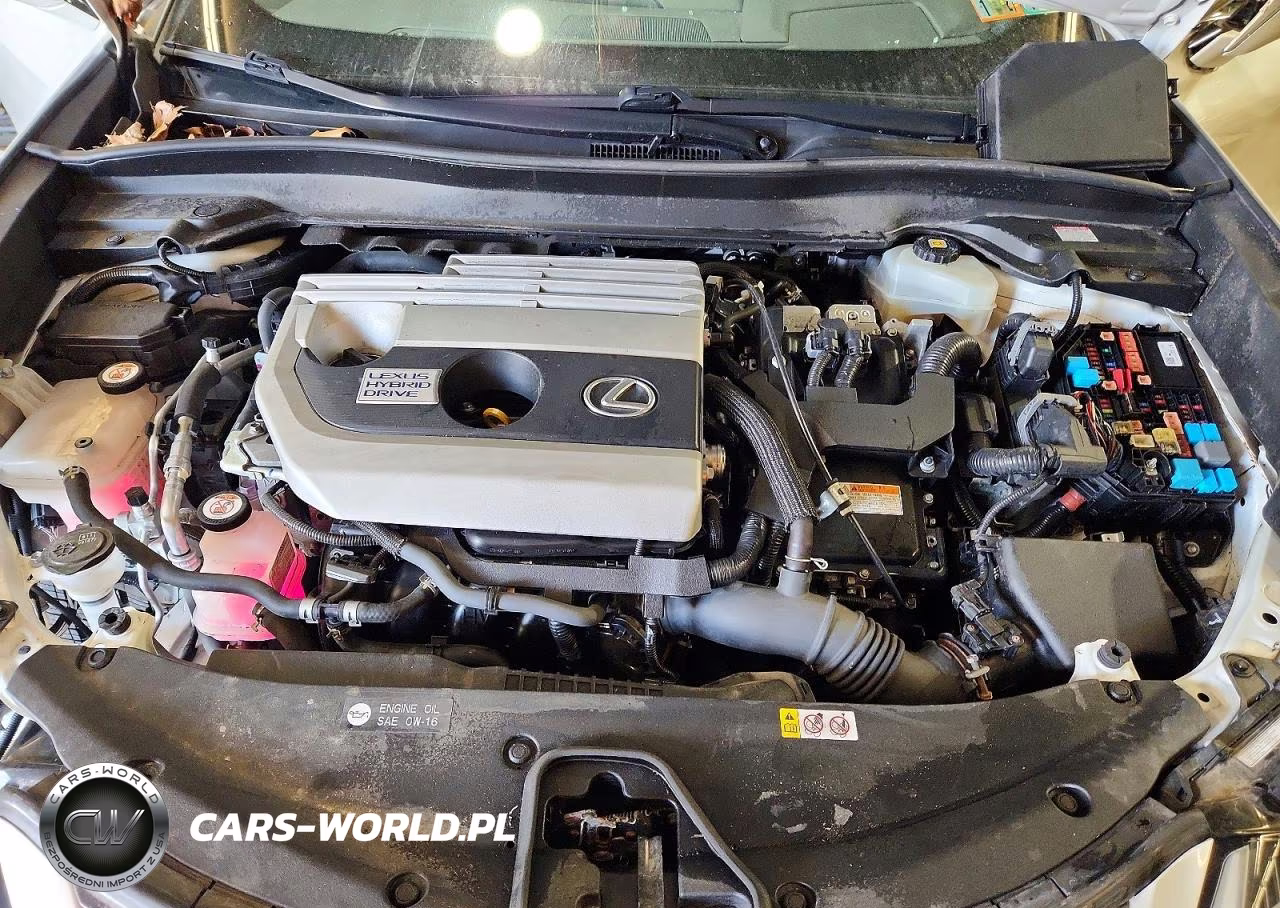 2019 Lexus Ux 250H VIN:JTHU9JBHXK2003591 - 12