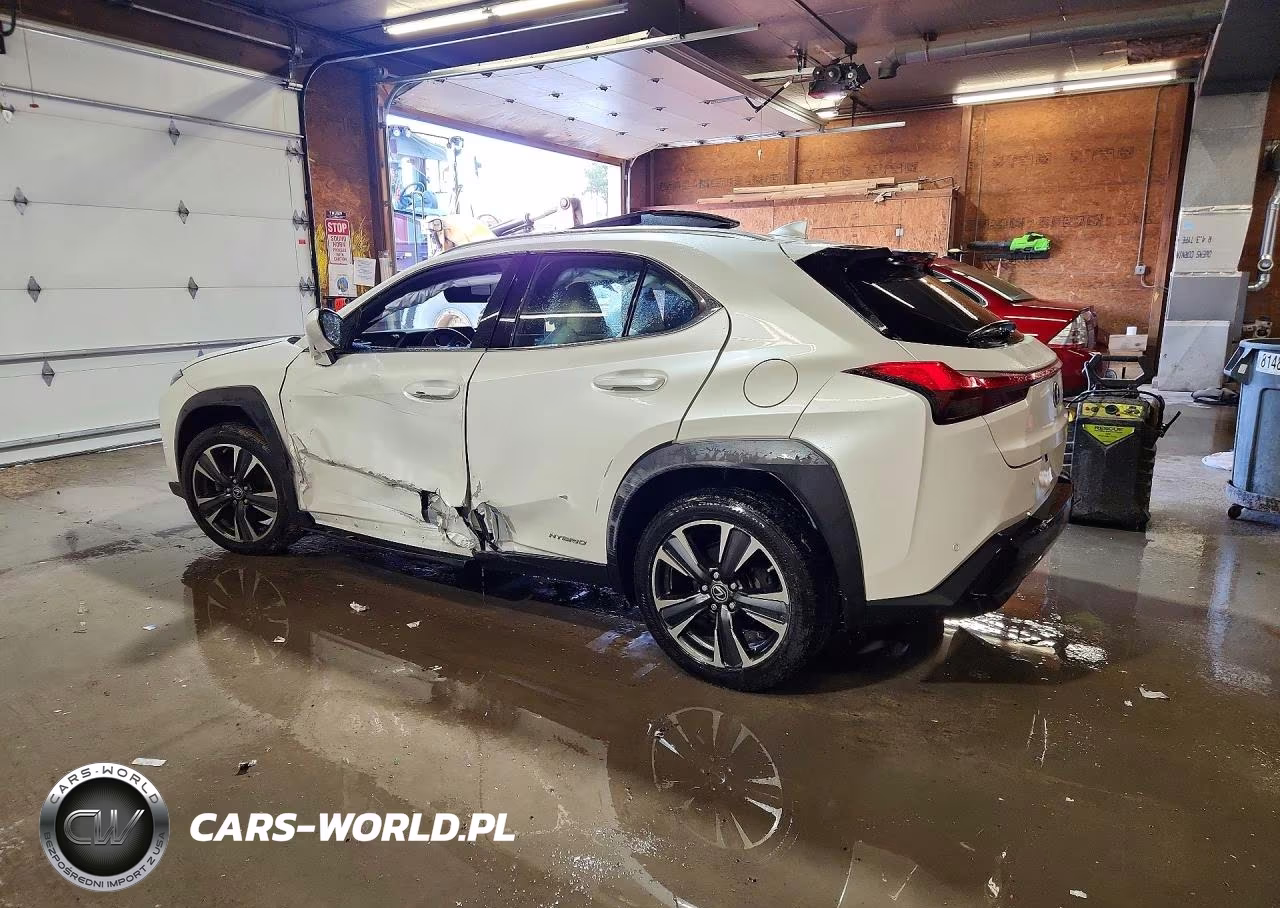 2019 Lexus Ux 250H VIN:JTHU9JBHXK2003591 - 2