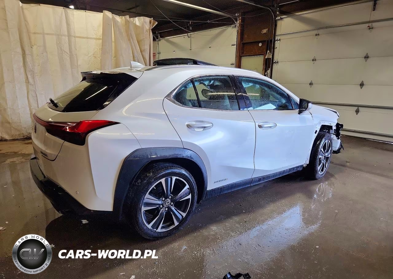 2019 Lexus Ux 250H VIN:JTHU9JBHXK2003591 - 3