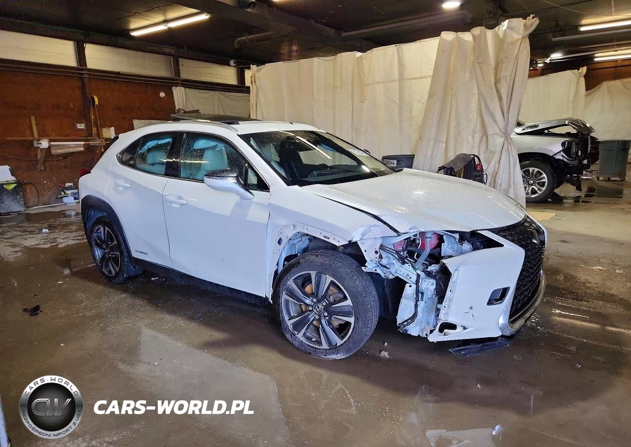 2019 Lexus Ux 250H VIN:JTHU9JBHXK2003591 - 4
