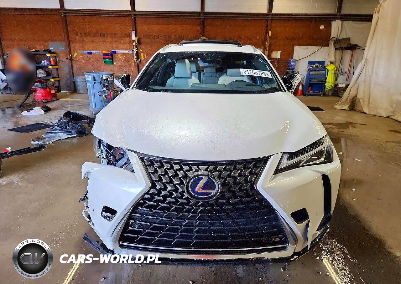 2019 Lexus Ux 250H VIN:JTHU9JBHXK2003591 - 5