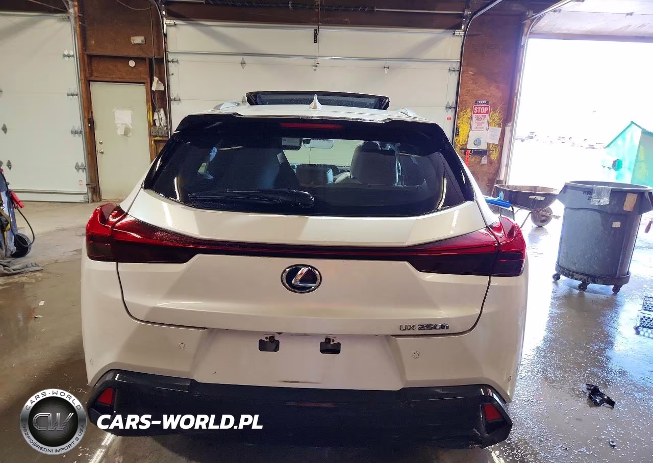 2019 Lexus Ux 250H VIN:JTHU9JBHXK2003591 - 6