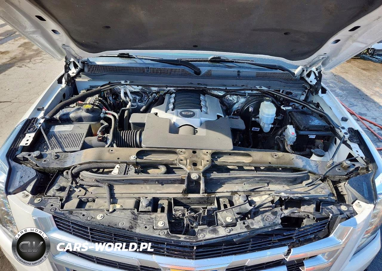 2016 Cadillac Escalade VIN:1GYS4AKJ0GR319701 - 12