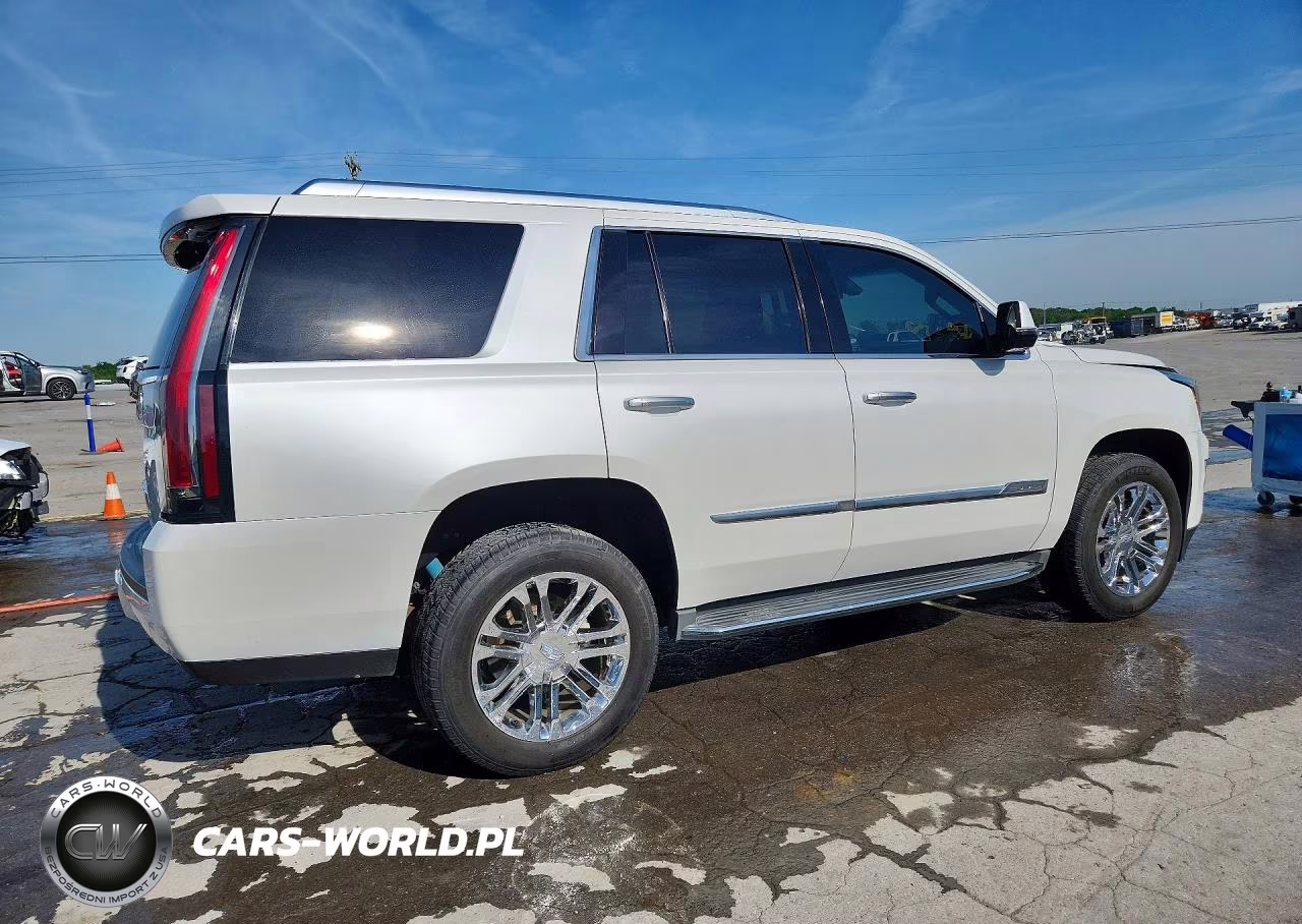 2016 Cadillac Escalade VIN:1GYS4AKJ0GR319701 - 3