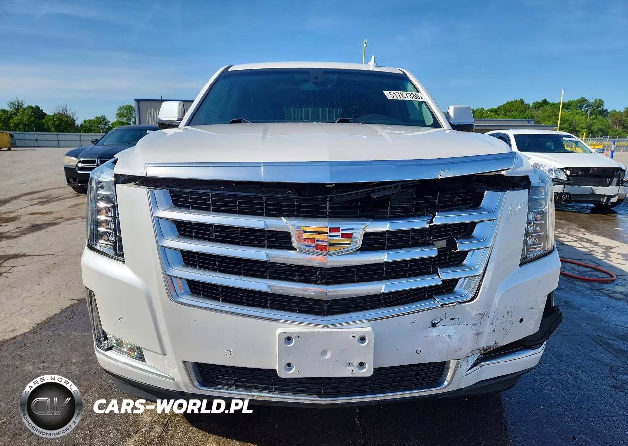 2016 Cadillac Escalade VIN:1GYS4AKJ0GR319701 - 5