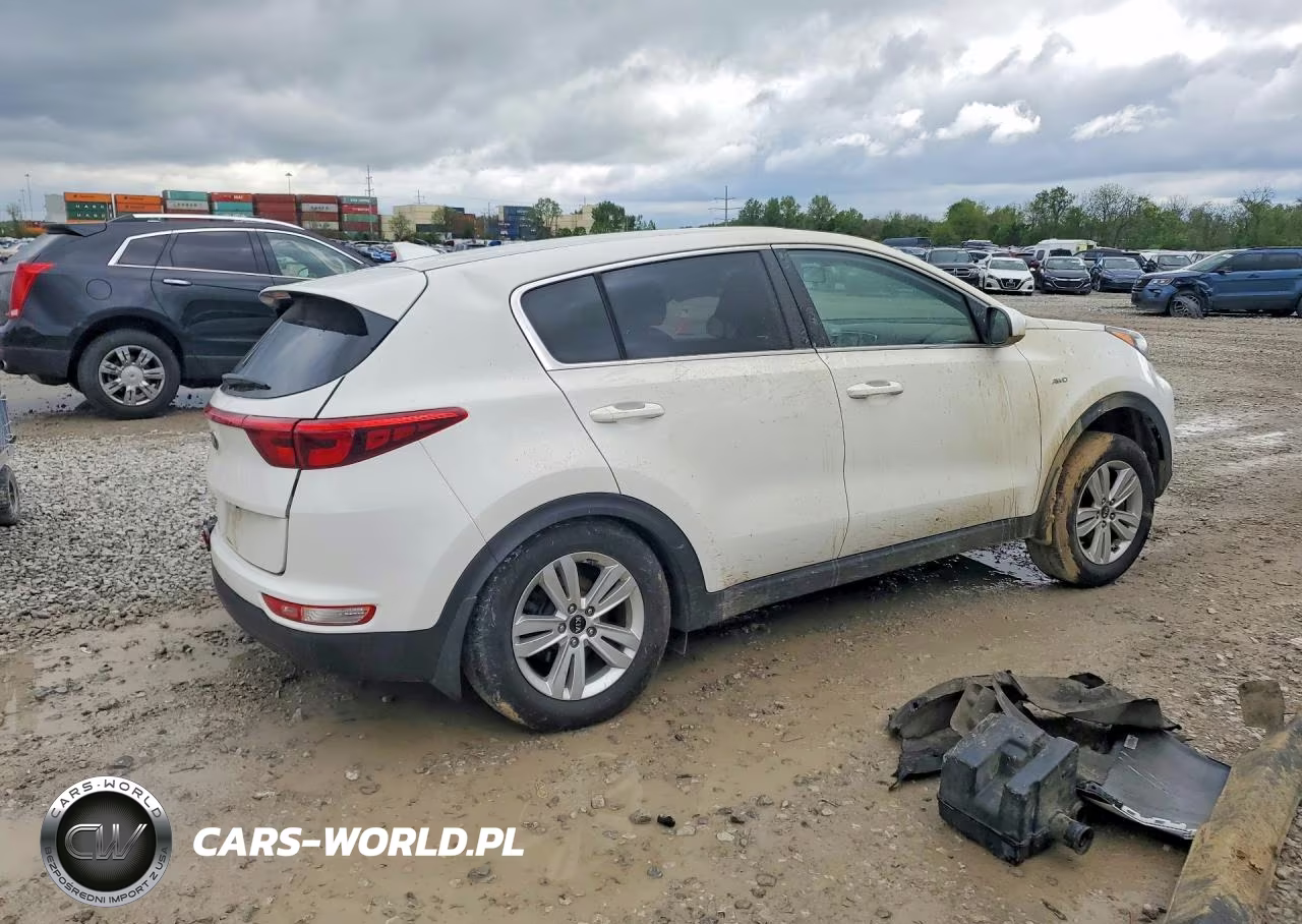 2019 Kia Sportage Lx VIN:KNDPMCAC5K7608751 - 3