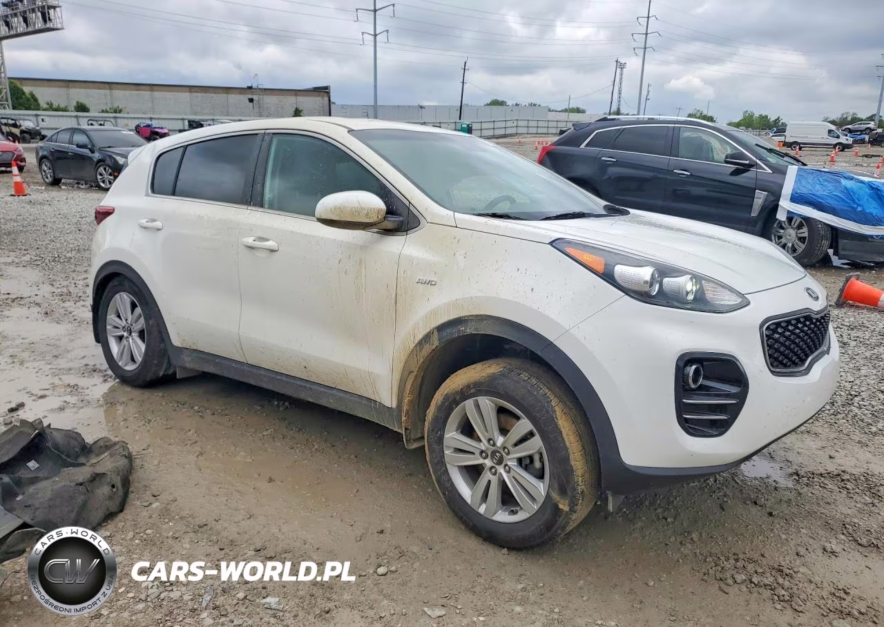2019 Kia Sportage Lx VIN:KNDPMCAC5K7608751 - 4