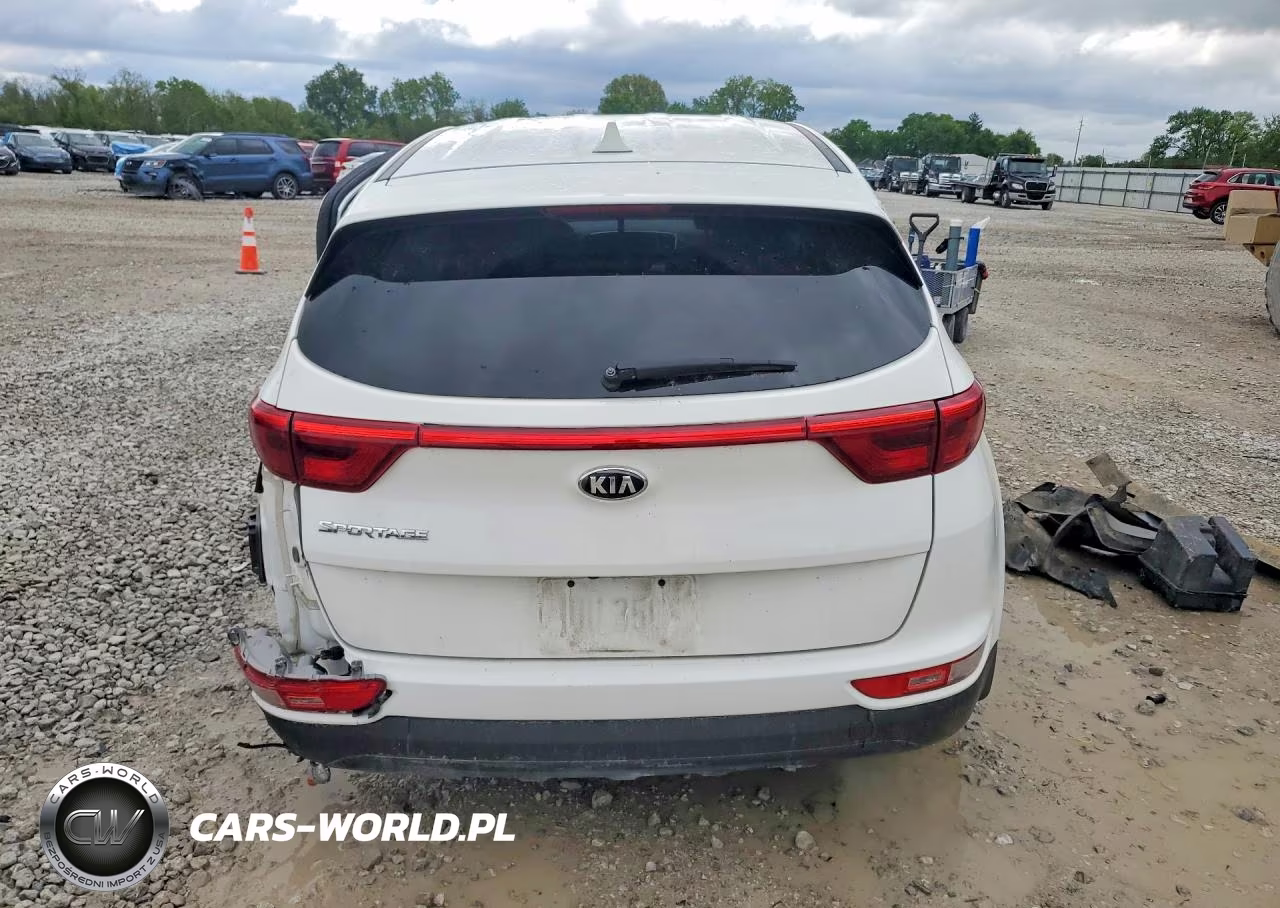 2019 Kia Sportage Lx VIN:KNDPMCAC5K7608751 - 6