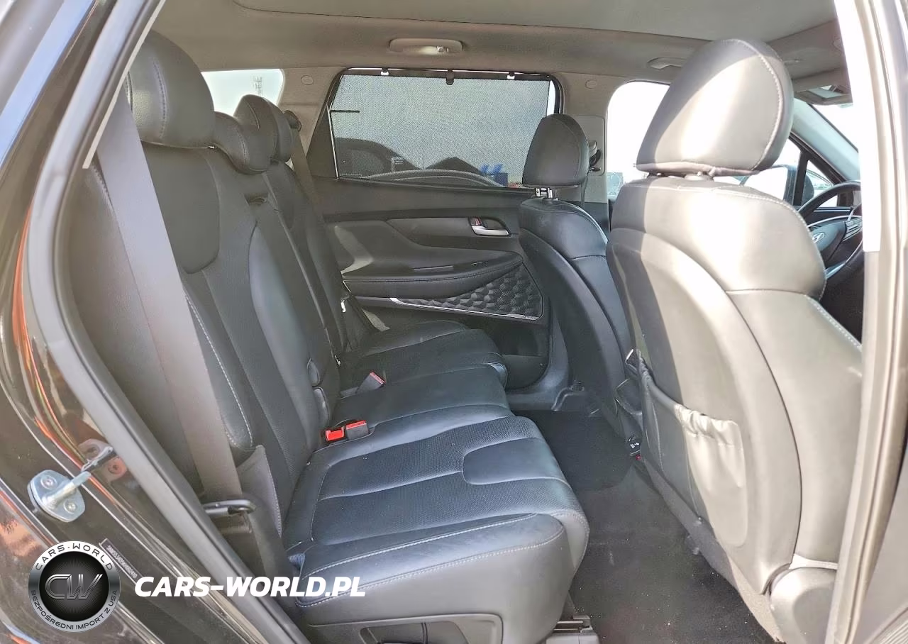 2019 Hyundai Santa Fe Ultimate 2.4L VIN:5NMS53AD5KH002410 - 11