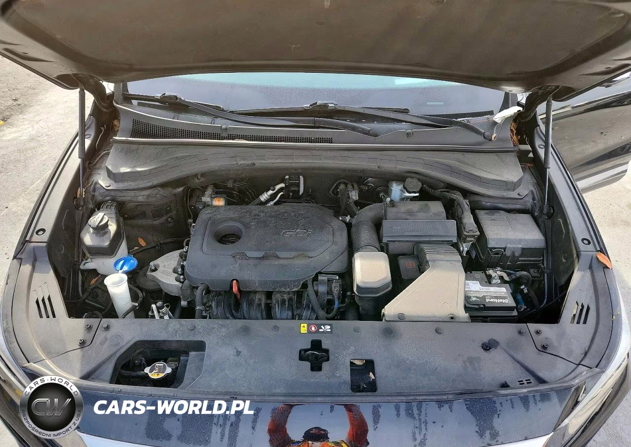 2019 Hyundai Santa Fe Ultimate 2.4L VIN:5NMS53AD5KH002410 - 12